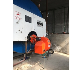 湖南160萬大卡燃?xì)馊紵龣C(jī)